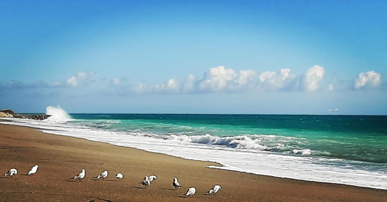 Agriturismo Alveare Finale Ligure Exteriér fotografie